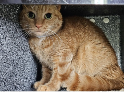 GrPTFJCWYAAx7j ?format=jpg.jpg