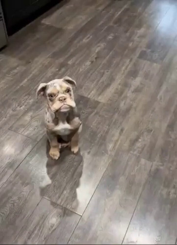 0LL4R5MSGXC3 WWr.jpg