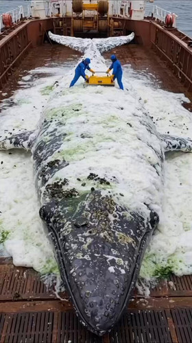 NWTX W6UcAIxkGNu.jpg