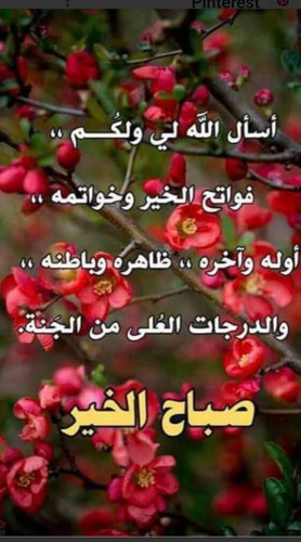 IMG 20250521 WA0003.jpg