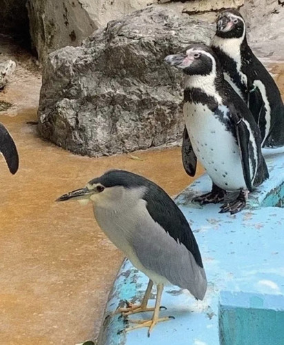 Screenshot 20250522 140138.jpg