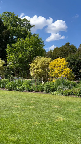 lXBNaDFKY1 5wVa5.jpg