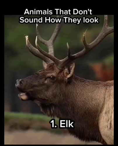 O3zdS8Y0H AMKfTY.jpg