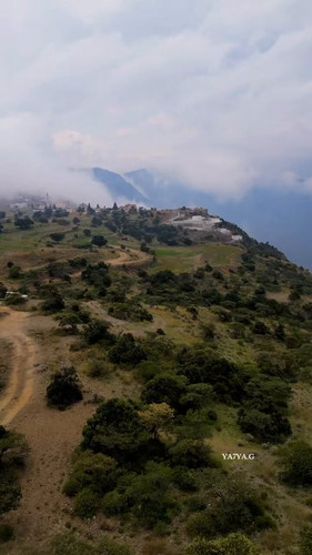 tNQf35pY WkRxOiS.jpg