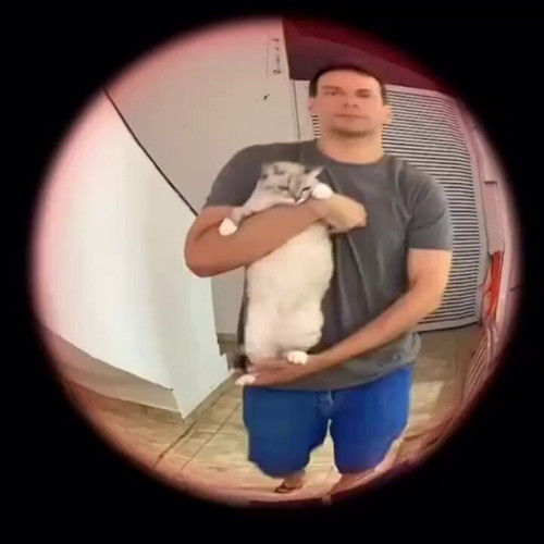 Fm0ahLrrwL0OifJL.jpg