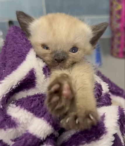 HSMATqke eju gMQ.jpg