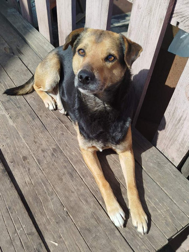 GrZt3i2WIAAc qu?format=jpg.jpg