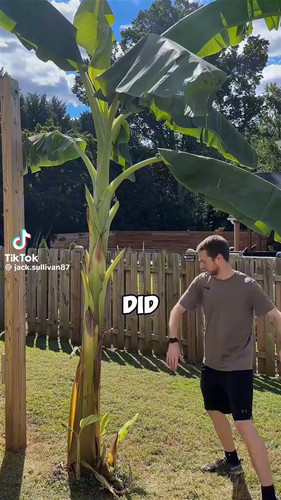 gvoDriF9ef7IyDBP.jpg