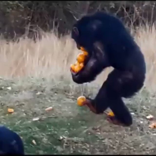jfkR2YPYF2ikTpYw.jpg