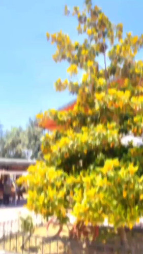 HQso h1xlcjFqTOZ.jpg