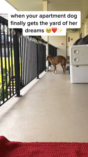 WmYYE3AoyGw L8GJ.jpg