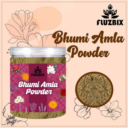 Bhumi Amla Powder.jpg
