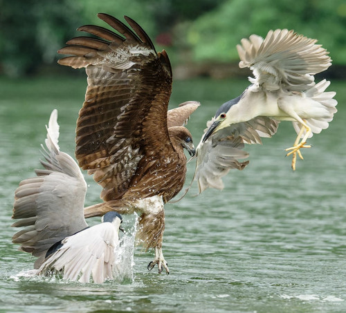 Screenshot 20250522 141920.jpg