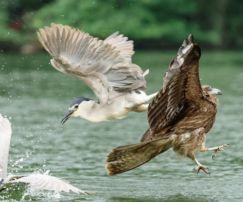 Screenshot 20250522 141901.jpg