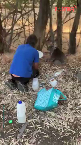 EYrNr5qwFBX5vE 6.jpg