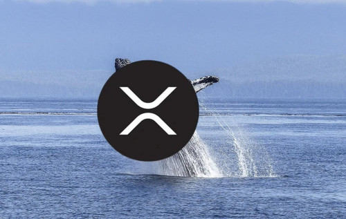 GrgkT7LXoAAoBrV.jpg