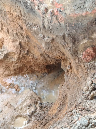 WhatsApp Image 2025 05 22 at 1.52.46 PM.jpg