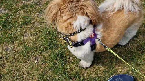 Q9F6Wty4Yoi4p W5.jpg