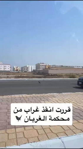 QoFIz6PzD4ZSW4v6.jpg