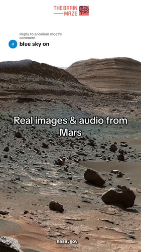 slcrT2 GPmEFq00J.jpg