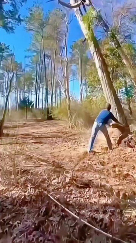 VcX 5EuJLI2XvWlk.jpg