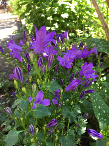 Grdw3XpW4AAw9VH.jpg
