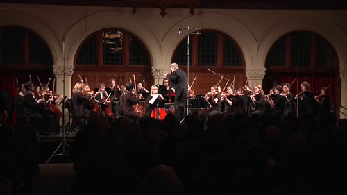 WS8hlNHB5itd6 gm.jpg