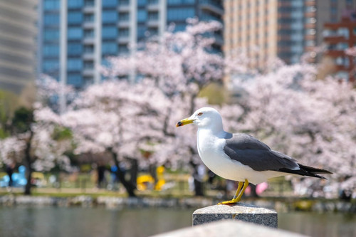 Grg9E bWQAABv W?format=jpg.jpg