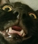 JPEG 20200424 233711.jpg