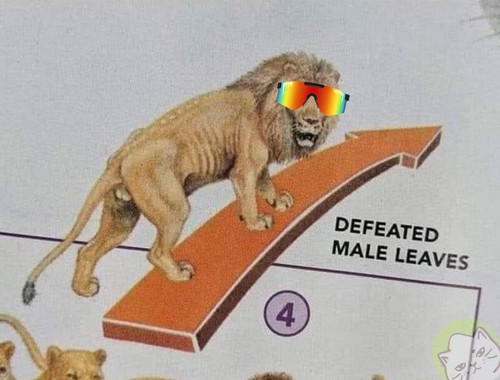 GrfQwsxXUAA 3xr.jpg