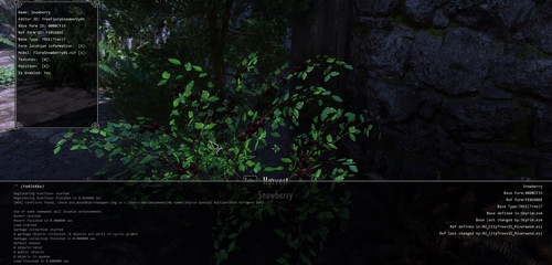 snowberry.jpg