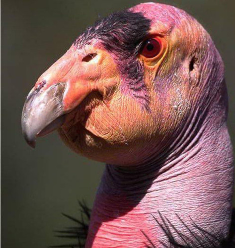 GreVMGtXcAAtUq4.jpg
