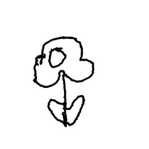 hua.jpg