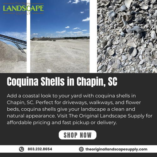 Coquina Shells in Chapin, SC.jpg