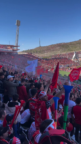 NzszoeSLeN77pssi.jpg