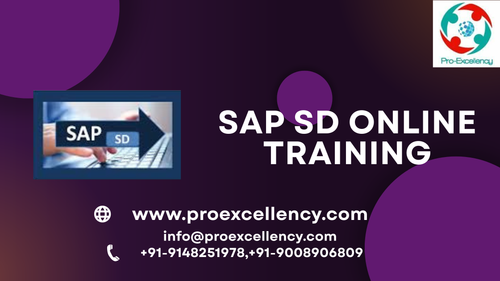 SAP SD Online Training (1).png