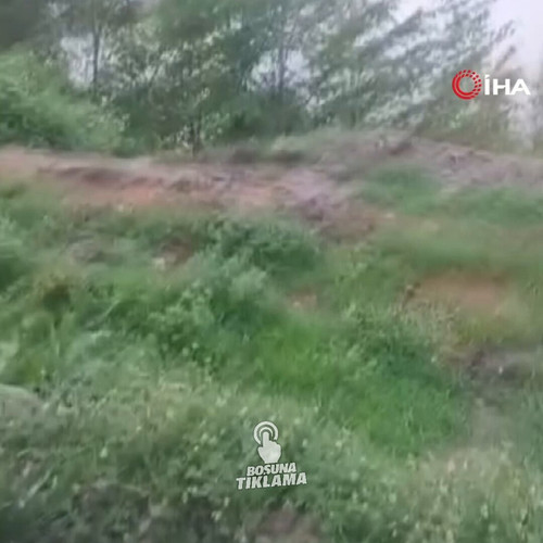 5MF8jm8OPguCzCW .jpg