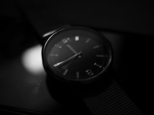P1010414.jpg
