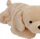 beaniedog