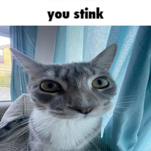 You stink.jpg