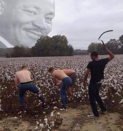 3Qgd5V2.md.png