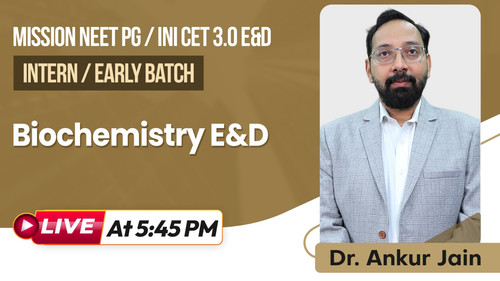 WhatsApp Image 2025 05 21 at 4.03.47 PM.jpg