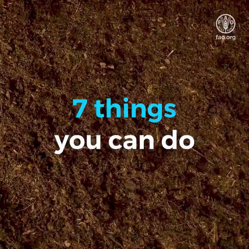 eRP0pVDN JxvrMO9.jpg