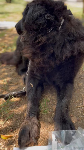 cRdIplvRv9m2sGp .jpg