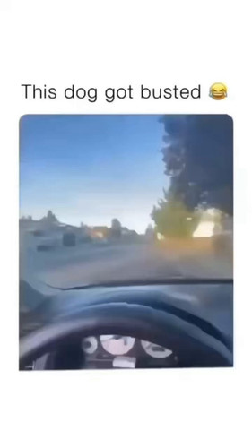 JnUQQvX 7vZNIFVV.jpg