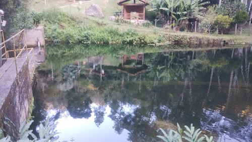 Imagem do WhatsApp de 2025 05 21 à(s) 16.26.39 e35c9576.jpg