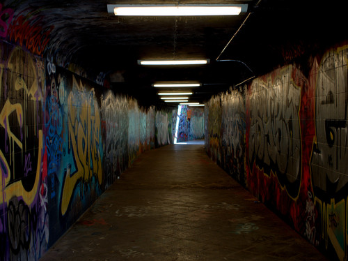 P1010442.jpg