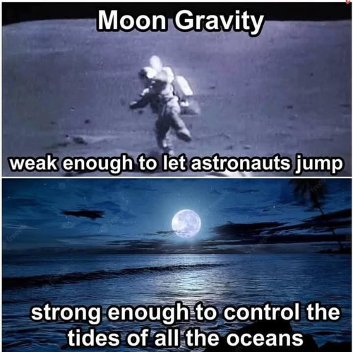 490182022 1617163596341009 4448966023650736331 n.jpg? nc cat=105&ccb=1 7& nc sid=aa7b47& nc ohc=cwLz.jpg