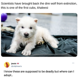 Screenshot 2025 05 22 at 1.31.02 PM.png