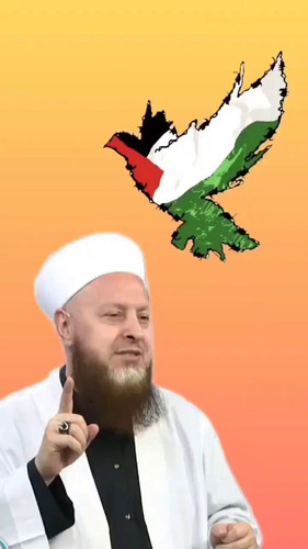 PMTc8nwK0 KZSZr .jpg